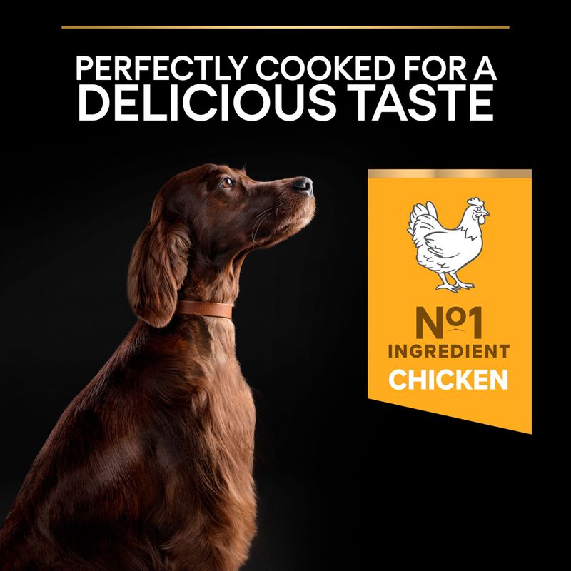 PURINA PRO PLAN Large Athletic Adult Everyday Nutrition 14kg