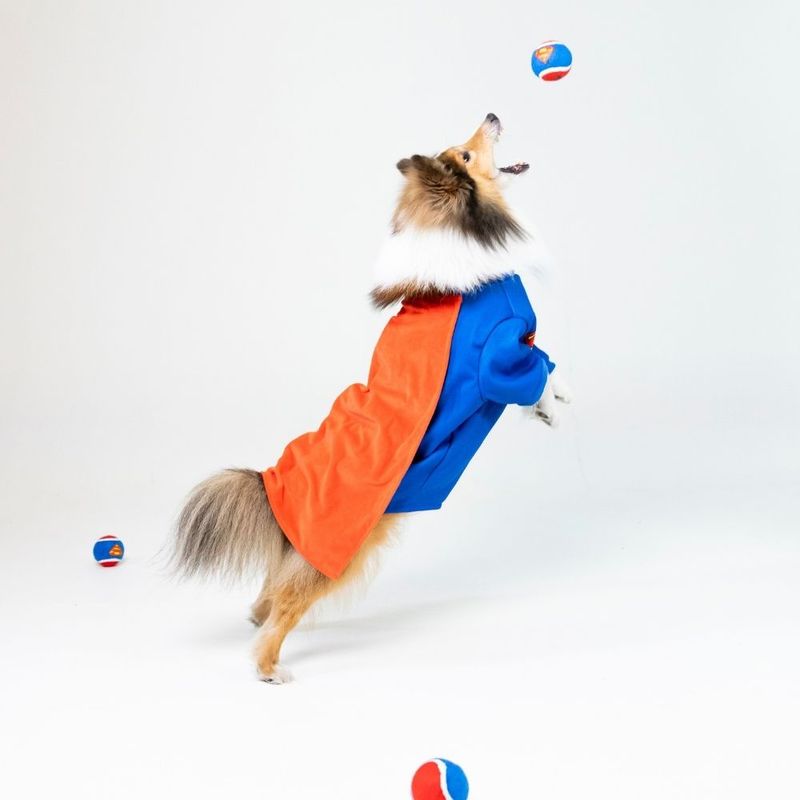 Warner Bros™ DC Superman Tennis Ball Set Set of 4 (each diameter 6.3cm)