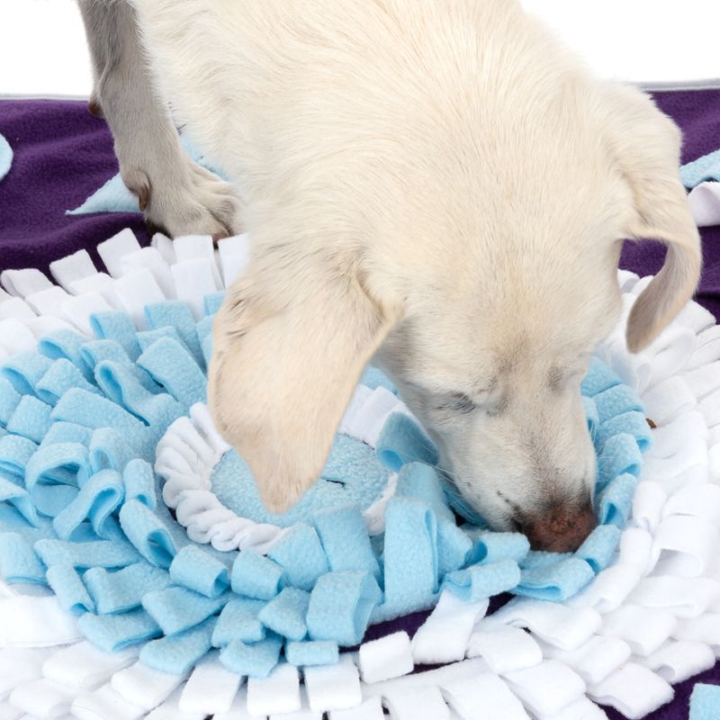 TIAKI sniffer mat Geometric shapes L x W x H) 70 x H 1 cm