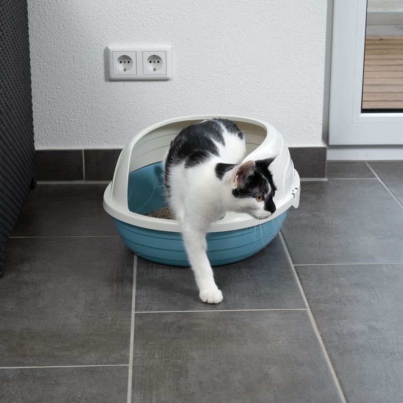 TIAKI Cobby Rounded Cat Litter Tray White / blue