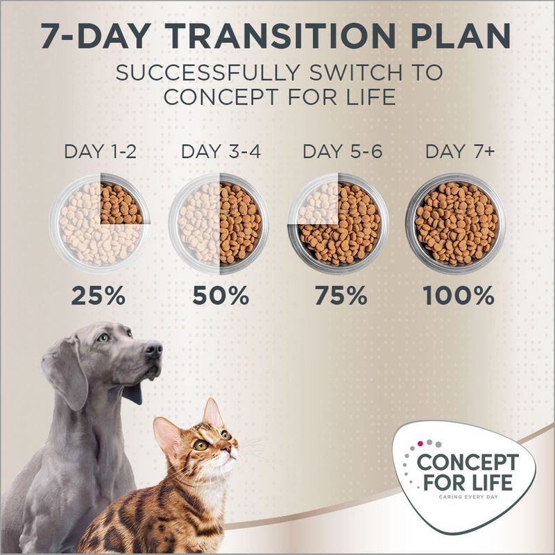 Concept for Life Maine Coon Adult Salmon - Grain-Free 400g