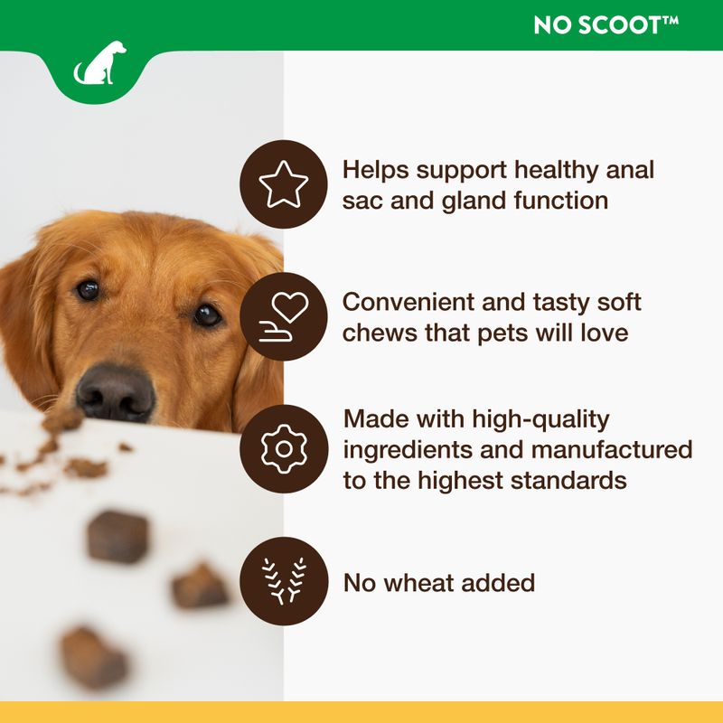 NaturVet No Scoot 60 Chew Cubes