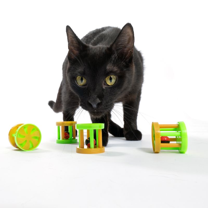 zooplus Basics Cage with Marble Toy - 4 Piece Set 4 Piece Set