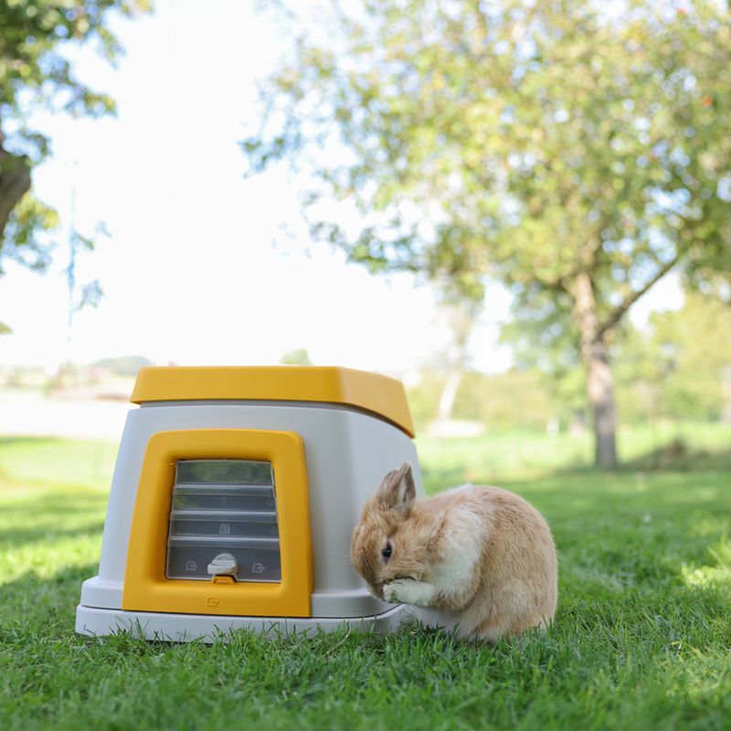 Kerbl Pet Bunny Base Rabbit Hutch 58 x 38.5 x 55 cm (L x W x H)
