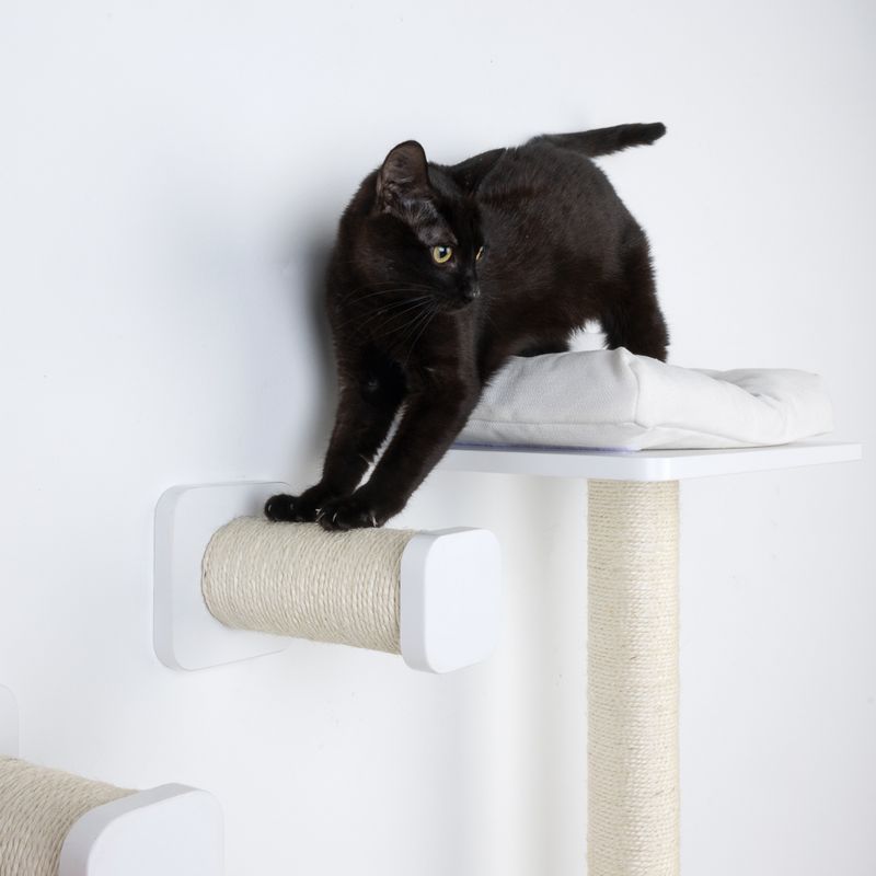 Modern Living Starter Set San Francisco Black (4-Part Set)