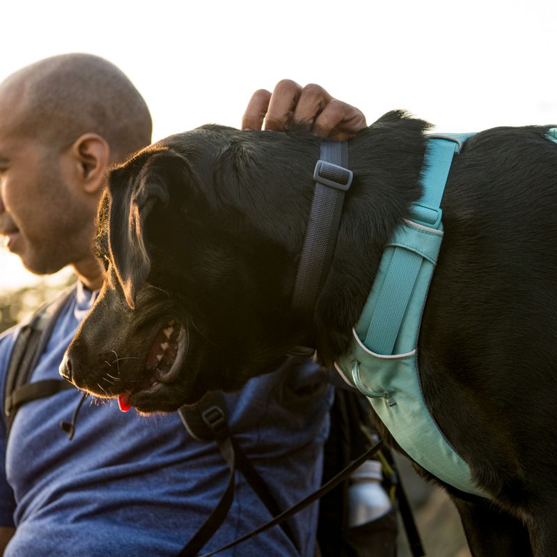 Ruffwear Front Range Dog Harness - River Rock Green Size XS: 43 - 56cm Chest Circumference