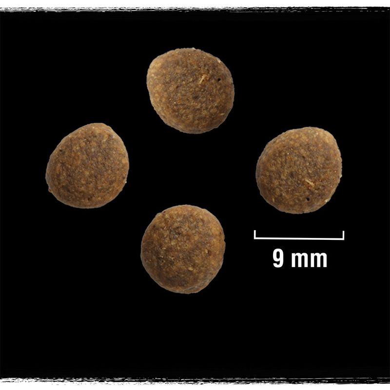 Crave Adult Salmon & Whitefish Dry Cat Food 750g