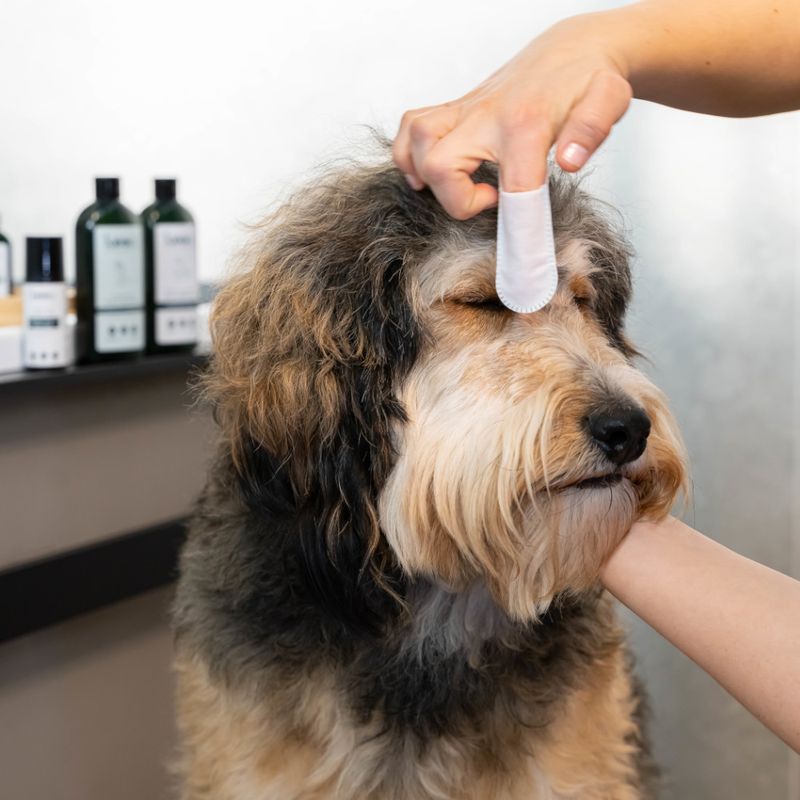 kooa Sensitive Ear & Eye Finger Pads 50 pads