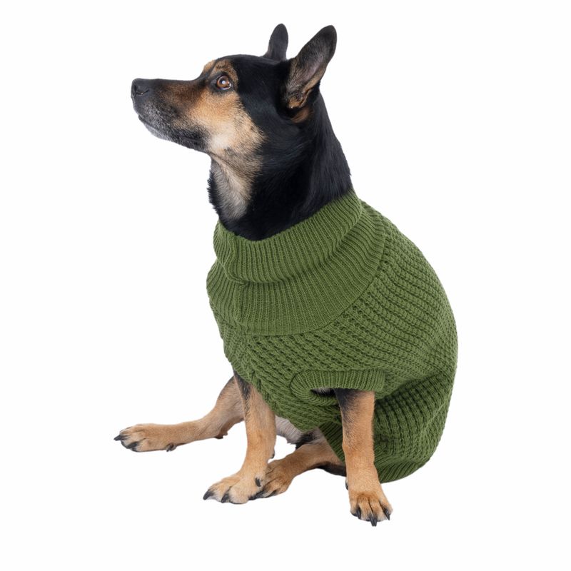 TIAKI Forest Dog Jumper approx. 40cm Back Length