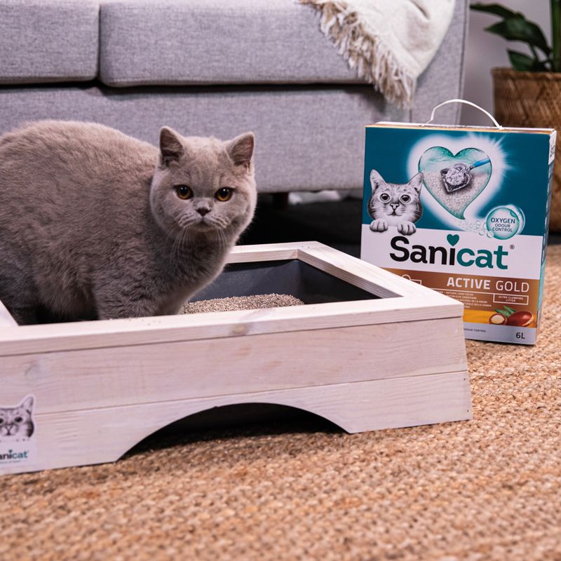 Sanicat Active Gold Clumping Cat Litter 6l