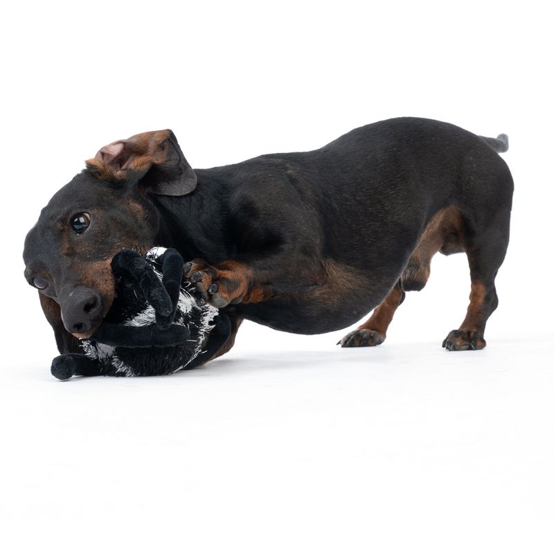 TIAKI Spider Stretch Ball diameter 22cm