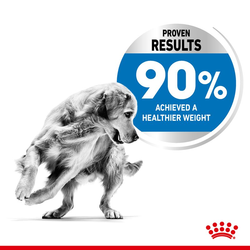 Royal Canin Maxi Light Weight Care 12kg