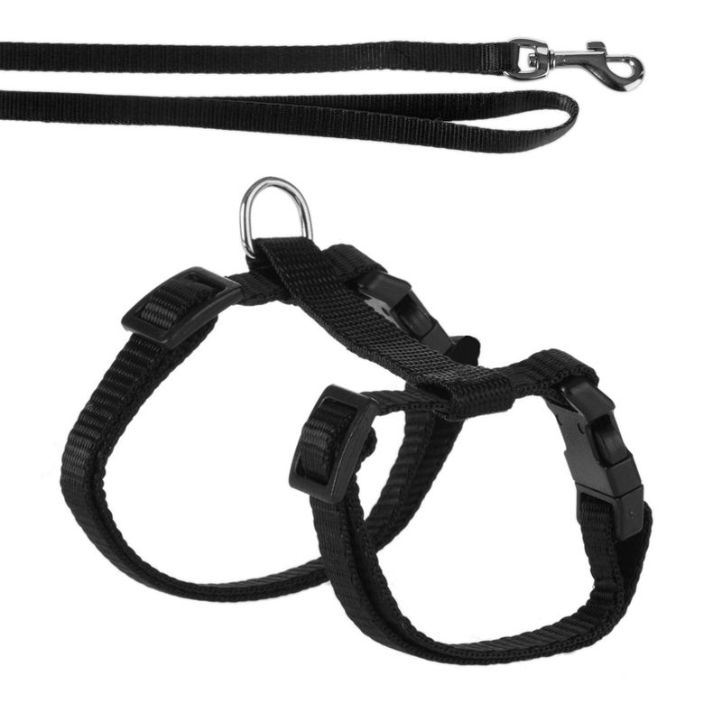 Kitten Harness with Lead Black