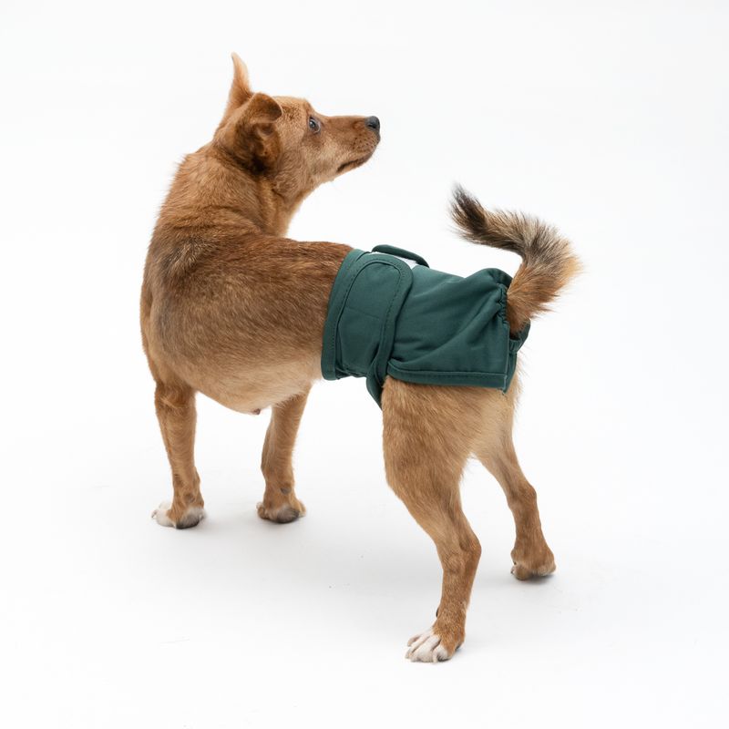 kooa Washable Nappy for Female Dogs Size XS
