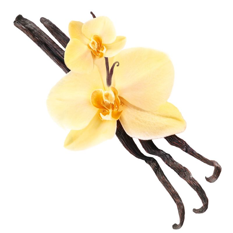 Biokat's Deo Pearls Baby Powder (700g)