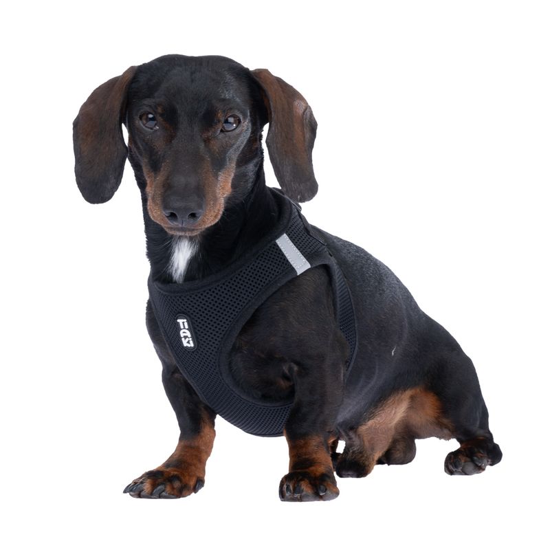 TIAKI Vest Harness Size XXS: approx. 29 - 33 cm Chest Circumference