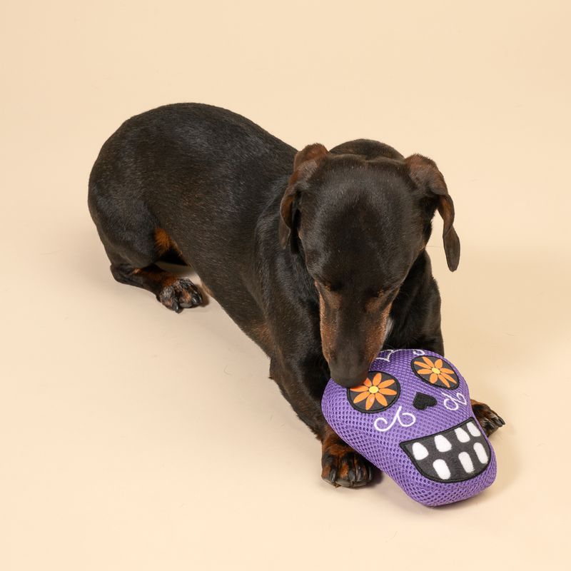 TIAKI Catrina Dog Toy approx. 15 x 13 x 6 cm (L x W x H)