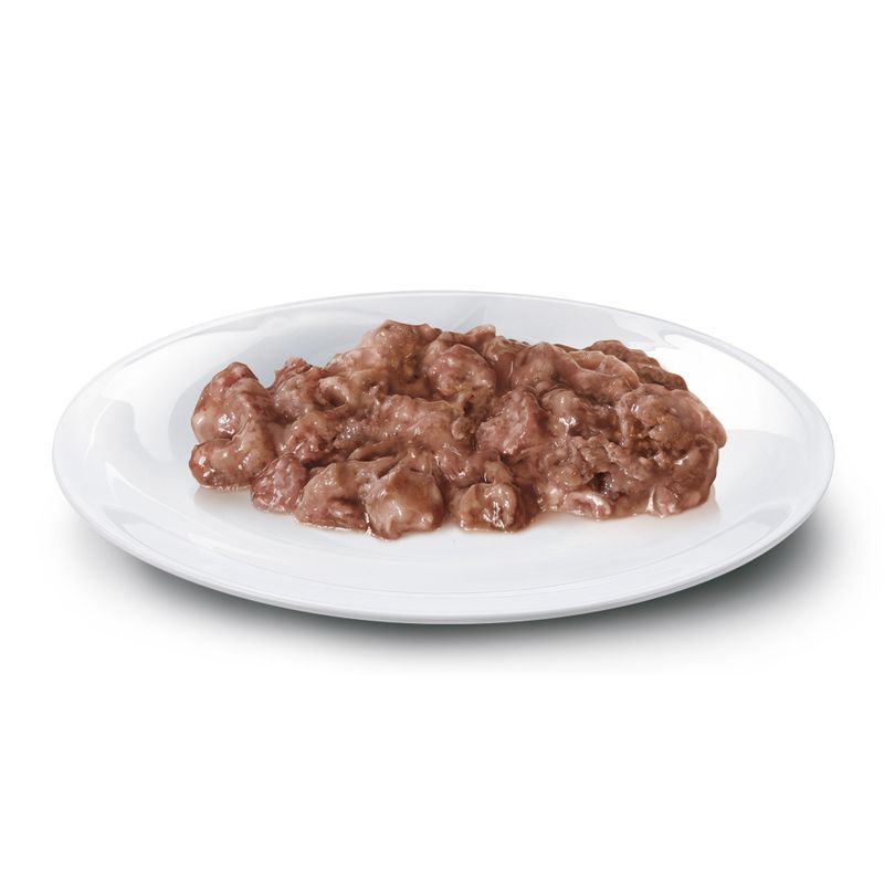 Concept for Life Maine Coon Adult - in Ragout 12 x 85g