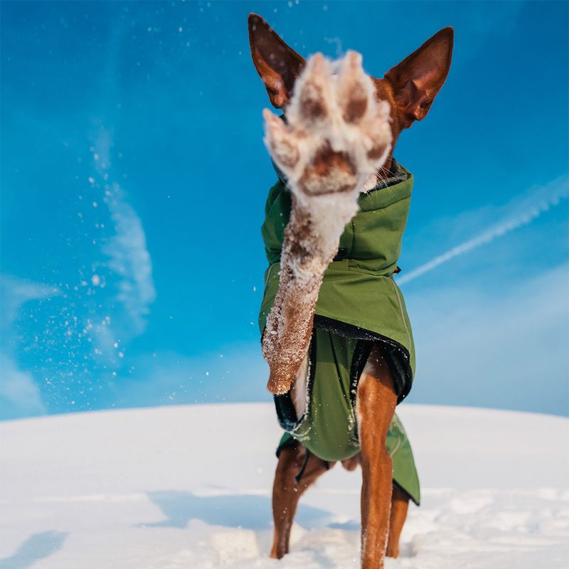 Rukka® Warmup Dog Coat - Olive approx. 80cm back length