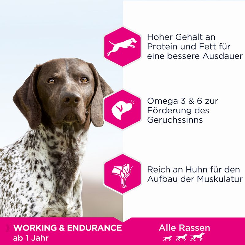 Eukanuba Daily Care Adult Working & Endurance 15kg
