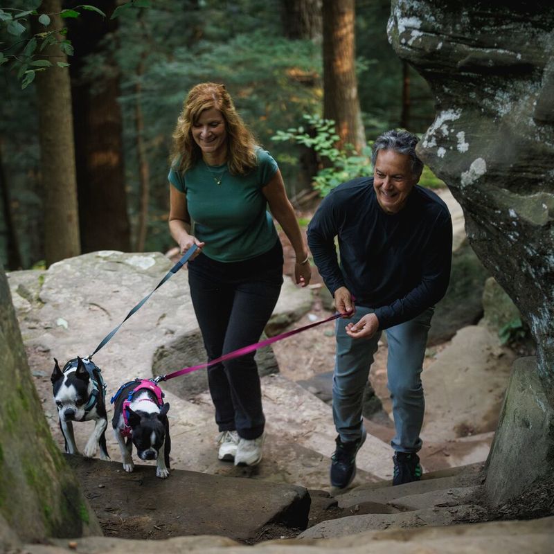 Ruffwear Hi & Light Harness - Alpen Glow Pink Size XS: 43 - 56cm Chest Circumference