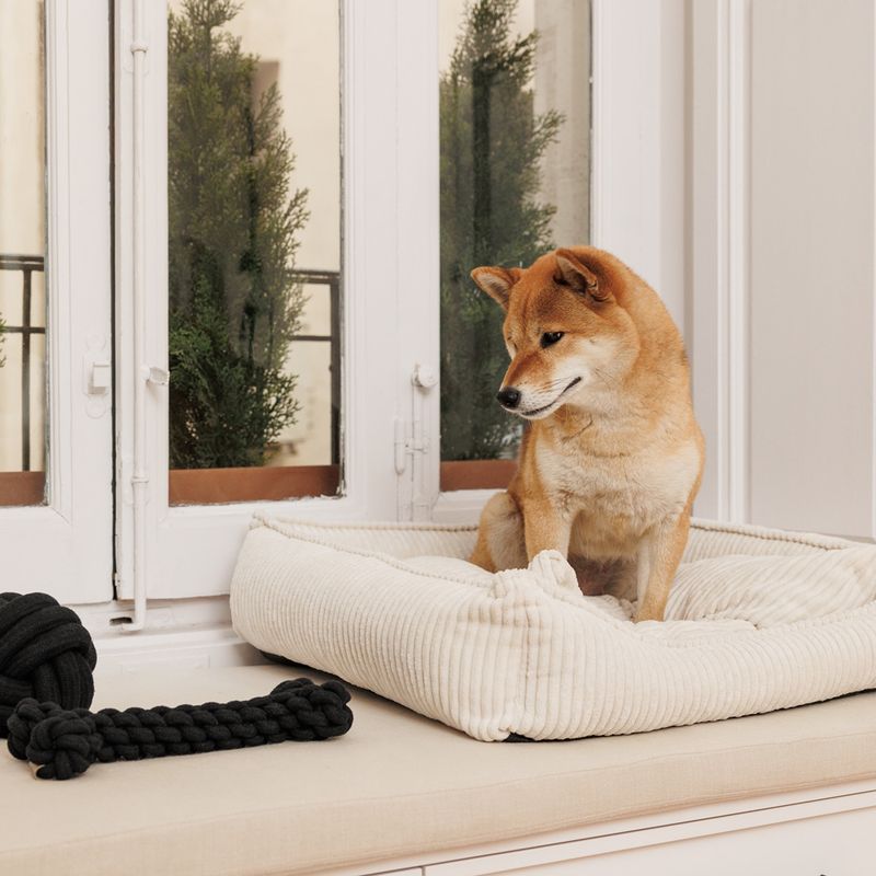 Modern Living Dog Bed Helena L: 65 x W x H 60 x 18 cm, beige