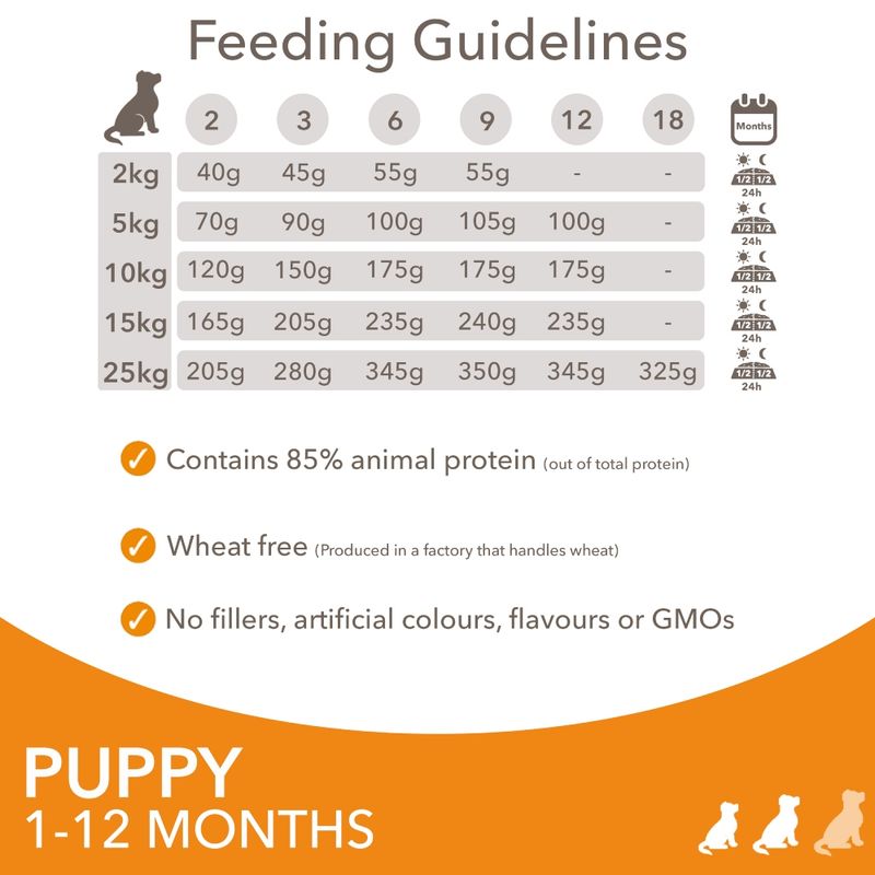 IAMS Advanced Nutrition Puppy & Junior Small & Medium Dog - Chicken 3kg