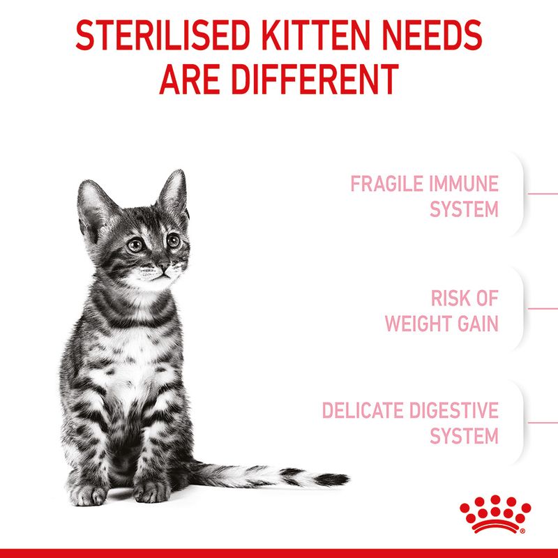 Royal Canin Kitten Sterilised 2kg