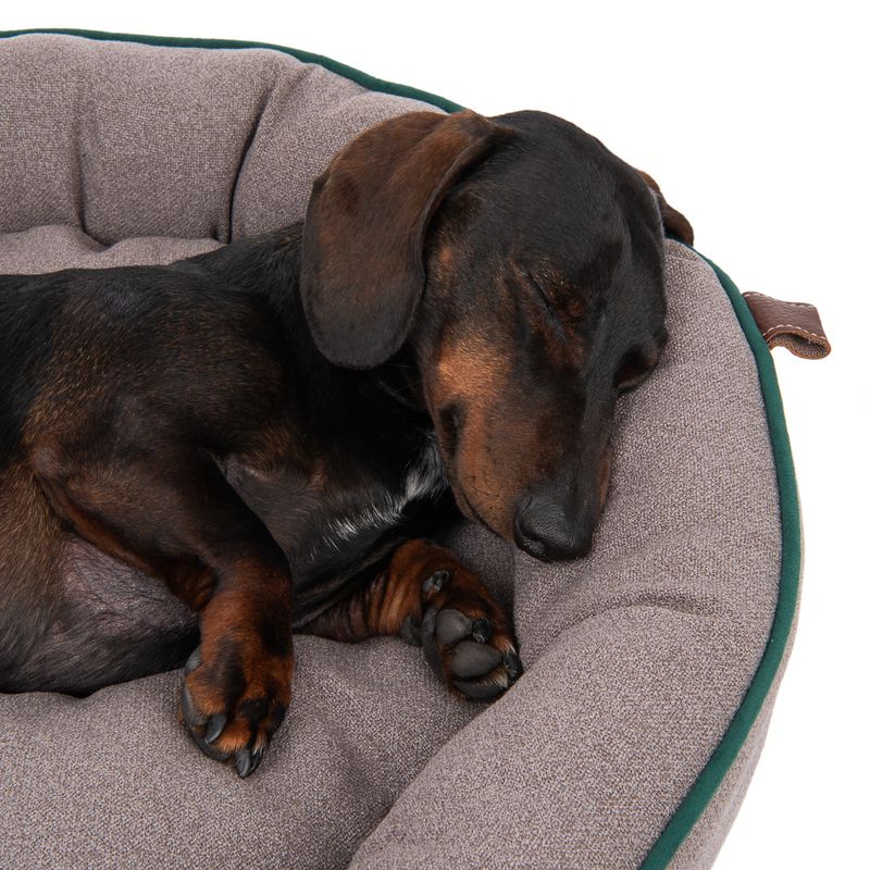 Modern Living Dog Bed London Antibacterial L 76 x W x H 56 x 11 cm