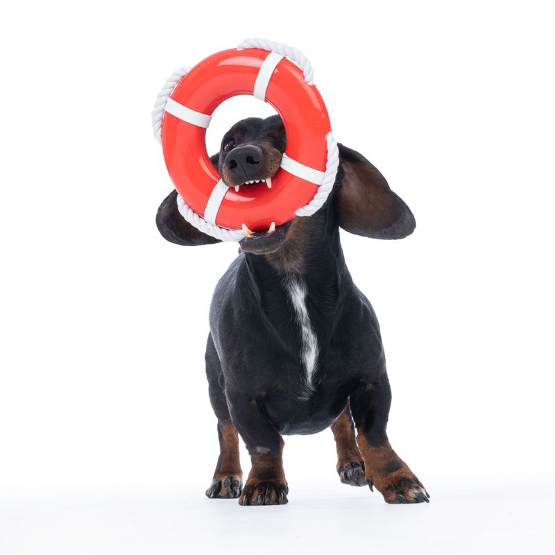 TIAKI Floating Dog Toy diameter 17.5 x (H) 3 cm