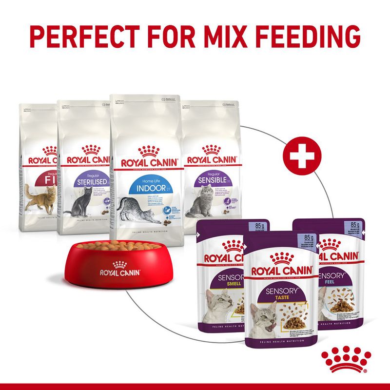 Royal Canin Sensory Smell in Jelly 12 x 85g