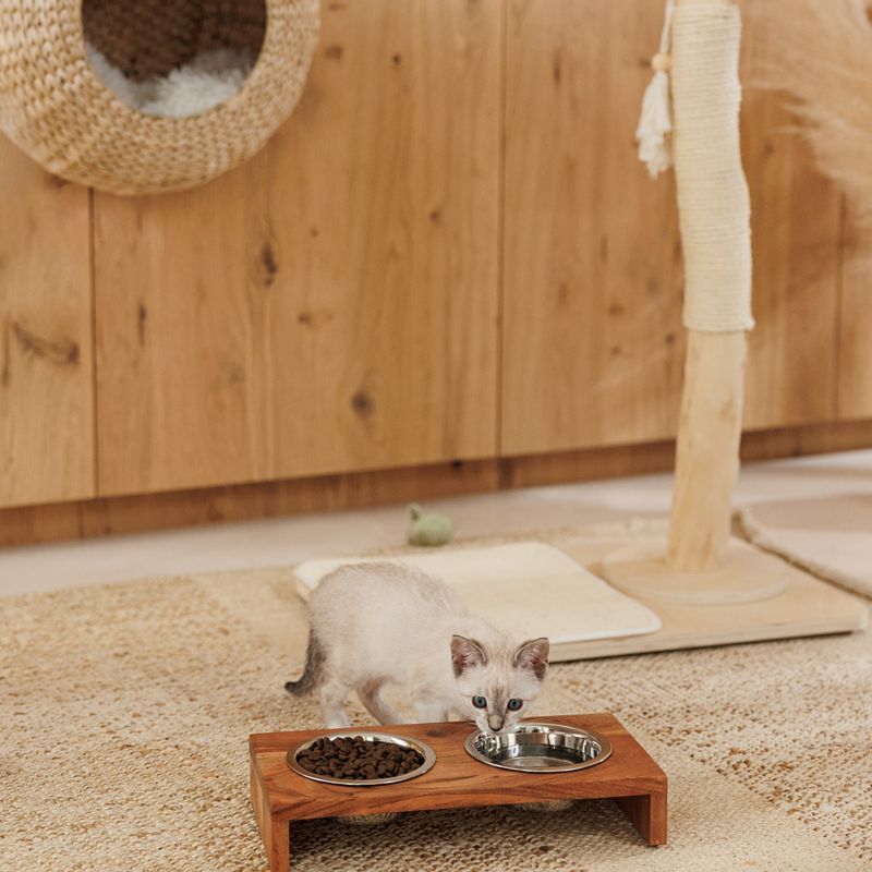 Modern Living Nellore wooden bowl bar 2 x 400 ml, diameter 13 cm