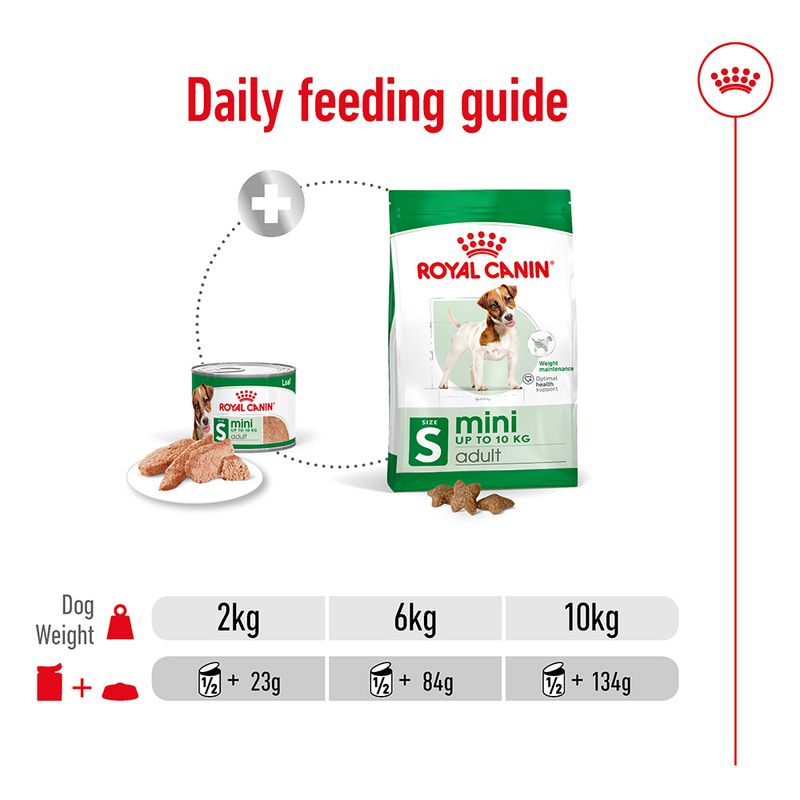Royal Canin Mini Adult in Loaf 12 x 195g