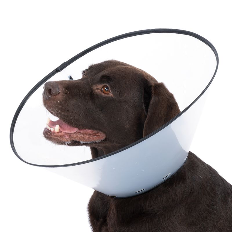 TIAKI Protective Cone for Cats & Dogs Size XS: approx. 14.5 - 24 cm Neck Circumference