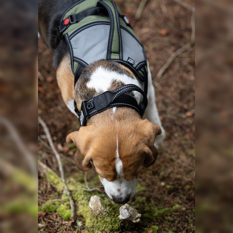 Rukka® Mission Harness – Olive Size L: 70 - 80cm chest circumference, W 25mm