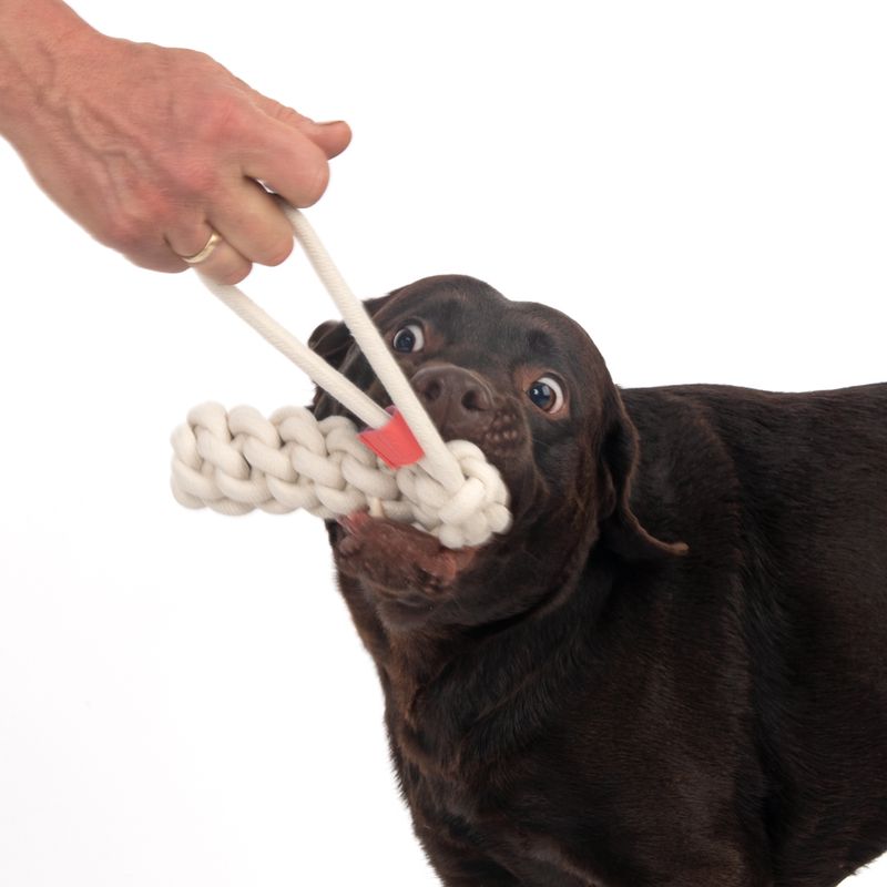 TIAKI Dog Toy Rope Stick L 36.5 x Ø 5.5 cm