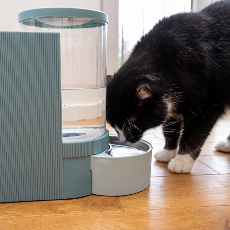 TIAKI Light Blue Food and Water Dispenser Up to 1.3kg Dry Food & 3L Water