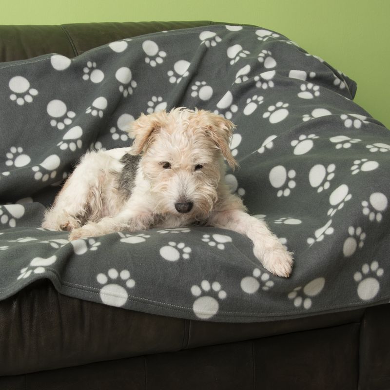 Pawty Fleece Blanket 100 x 70cm (L x W)