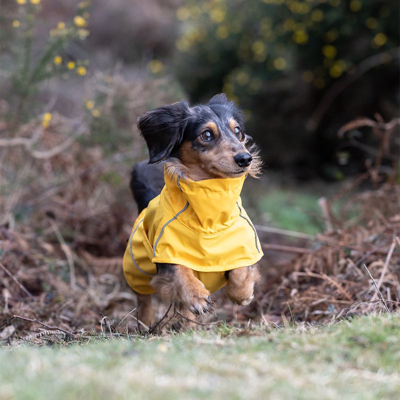 Rukka® Hayton Eco mackintosh, yellow approx. 40 cm back length