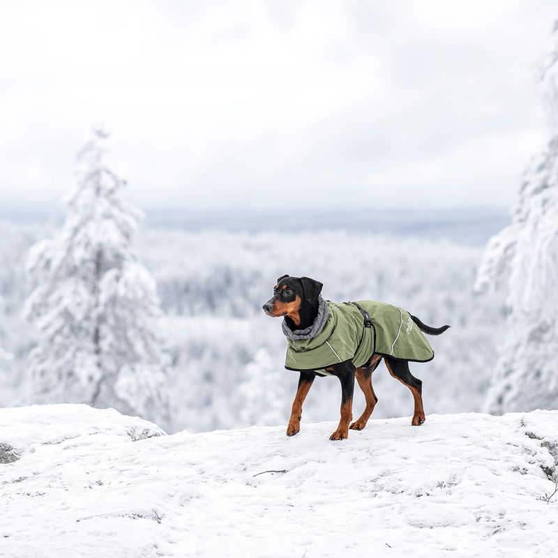 Rukka® Warmup Dog Coat - Olive approx. 80cm back length
