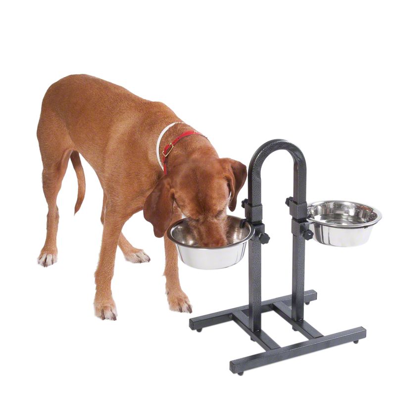U-Shaped Dog Bowl Stand with Stainless Steel Bowls 2 x 1.6 litre