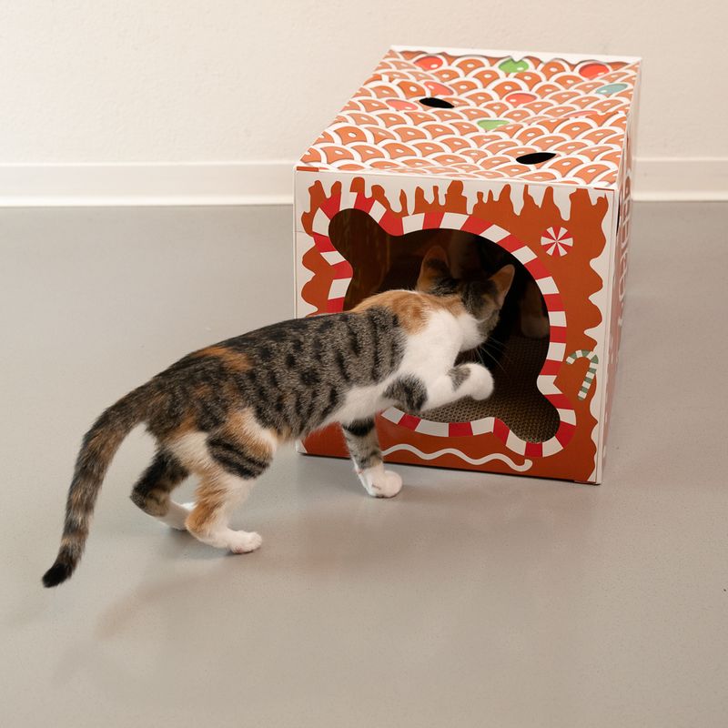 TIAKI Gingerbread Cat Scratching Tunnel 1 Tunnel