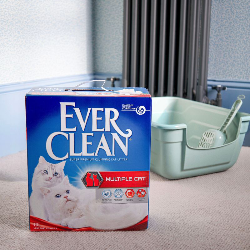 Ever Clean® Multiple Cat Clumping Cat Litter 10l