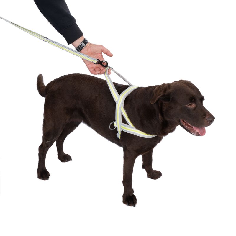 TIAKI No-pull harness S: approx. 55-65 cm chest circumference