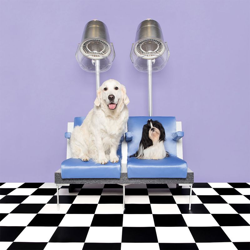 Pet Teezer De-shedding Brush approx. 15 x 6.5 x 6 cm (L x W x H)