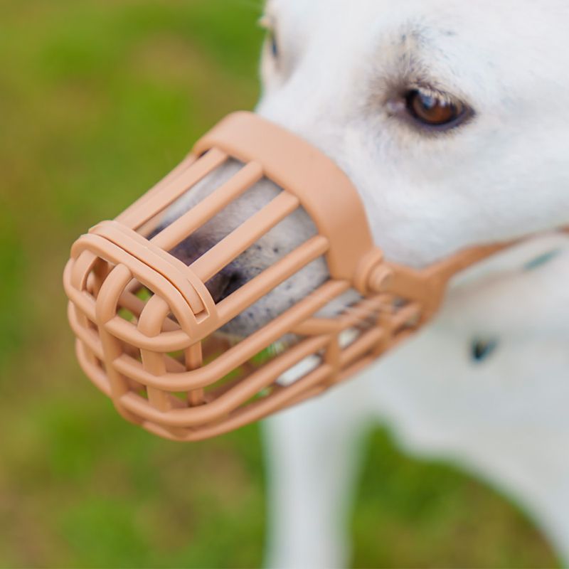 Baskerville Classic Muzzle — Beige Size 5