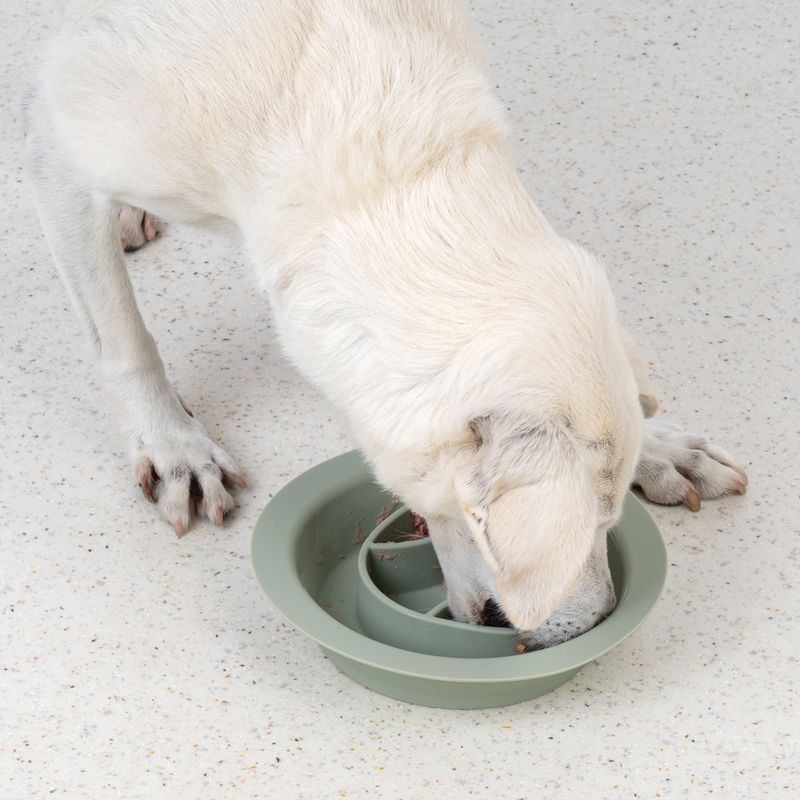 TIAKI Silicone Slow Feeder & Licking Mat 300ml