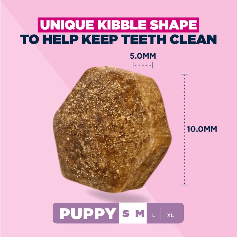 Eukanuba Premium Nutrition Puppy Small & Medium Breed Lamb & Rice 3kg