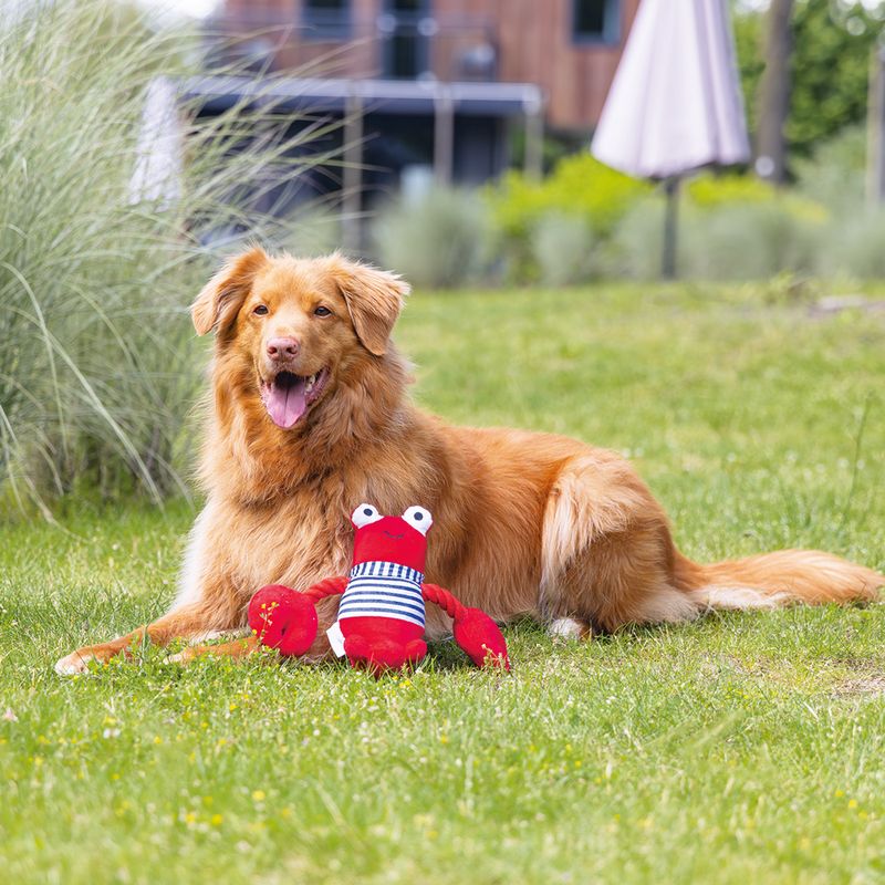 Beeztees Frits Lobster Dog Toy 24 x 28 x 13cm (L x W x H)