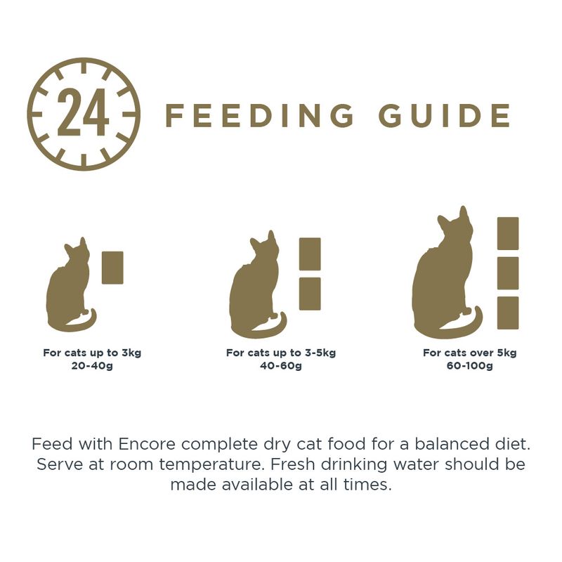 Encore Cat Pouch in Broth 10 x 50g Finest Selection (3 Varieties)